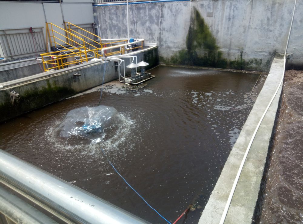 Wastewater from a biopharmaceutical plant in Guangzhou